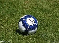 昨日激战,伤病阴影笼,平衡之局能,博鱼体育官网,博鱼体育app,博鱼体育APP下载