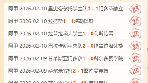 德乙焦点战：荷尔斯泰因对决菲尔特，精彩比分揭晓！