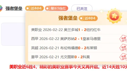 埃及足球之夜：黄金战局，榜尾对决，谁是最后的赢家？