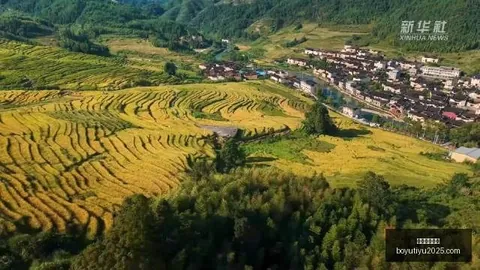 梅西社交媒体引风波：葡萄牙媒体称其言论疑似向罗暗示，之争再掀波澜
